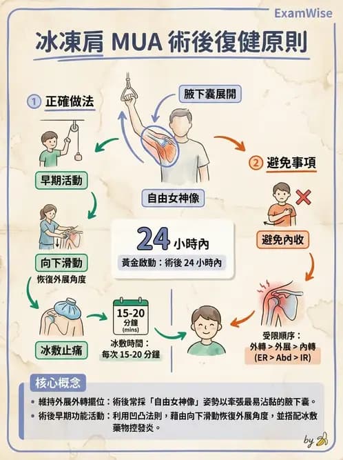 物治 - 冰凍肩與胸廓出口症候群 - AI 圖文解析預覽