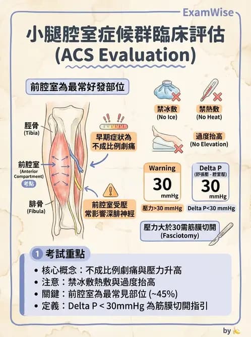 物治 - 踝關節損傷與復健 - AI 圖文解析預覽