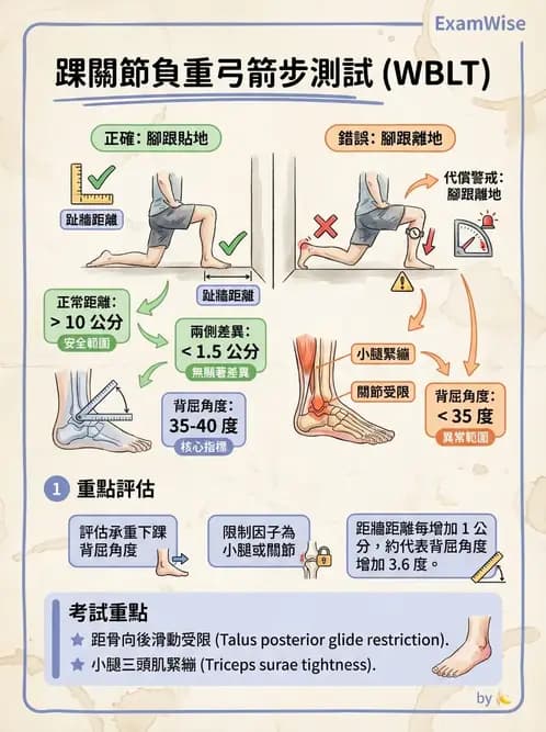 物治 - 踝關節損傷與復健 - AI 圖文解析預覽