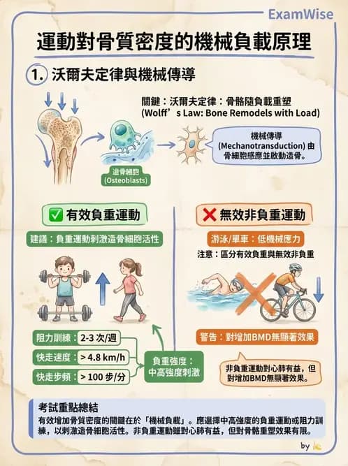 物治 - 女性健康 - AI 圖文解析預覽