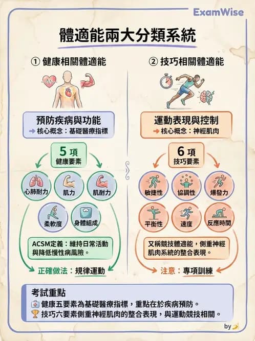 物治 - 體適能評估與運動測試 - AI 圖文解析預覽