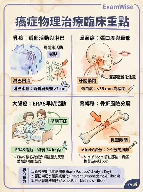 物治 - 癌症物理治療 - AI 圖文解析預覽