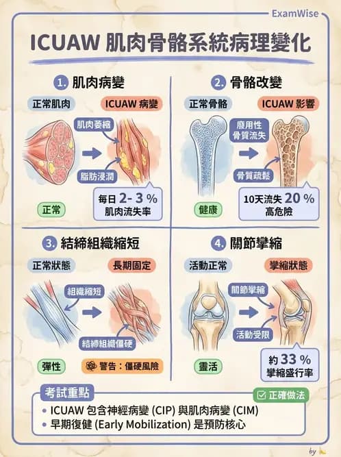 物治 - 重症加護物理治療 - AI 圖文解析預覽