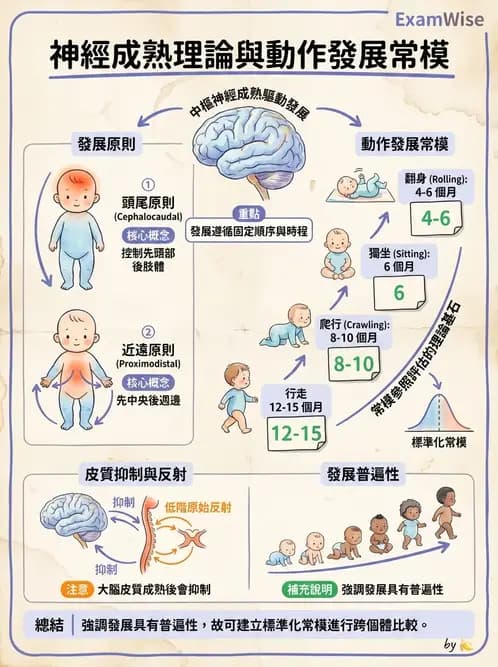 物治 - 小兒物理治療基礎與原理 - AI 圖文解析預覽