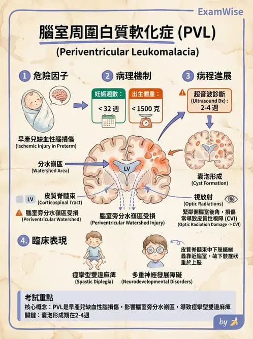 物治 - 腦性麻痺分類、評估與步態 - AI 圖文解析預覽