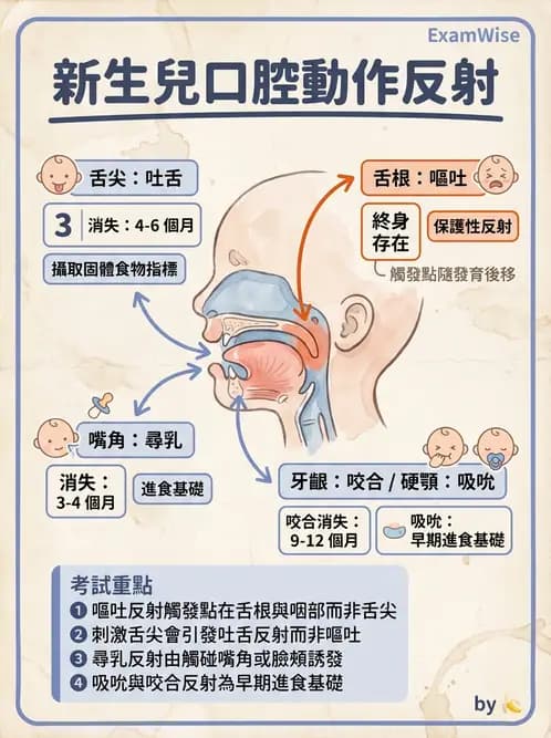 物治 - 新生兒與嬰兒發展評估 - AI 圖文解析預覽
