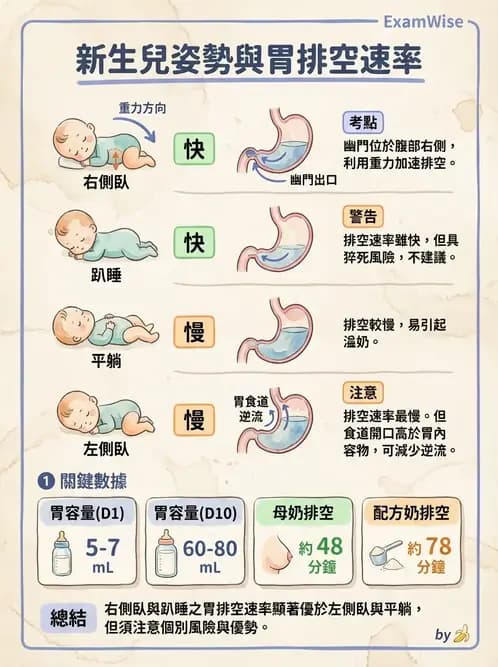 物治 - 小兒呼吸疾患與NICU物理治療 - AI 圖文解析預覽