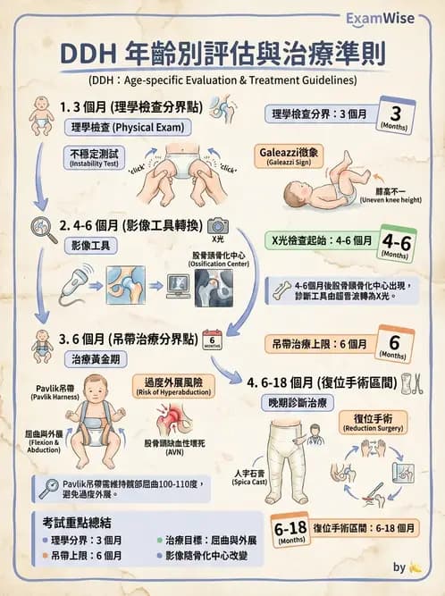 物治 - 小兒肌肉骨骼疾患物理治療 - AI 圖文解析預覽