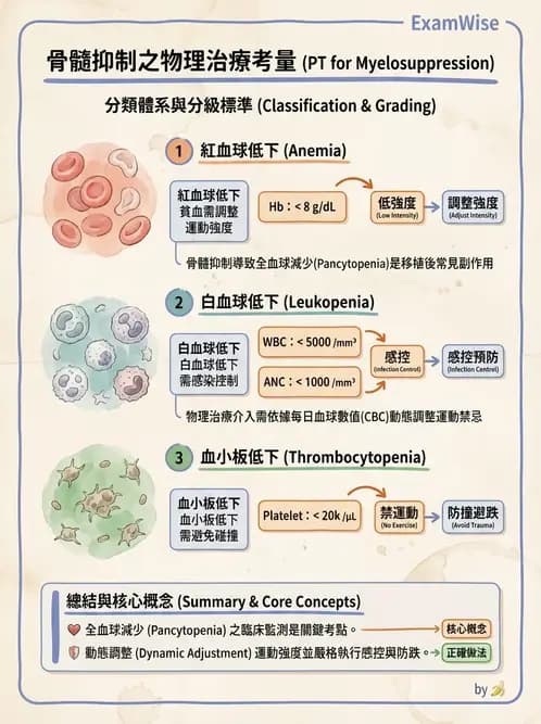 物治 - 胸腔手術、肺移植與呼吸器 - AI 圖文解析預覽