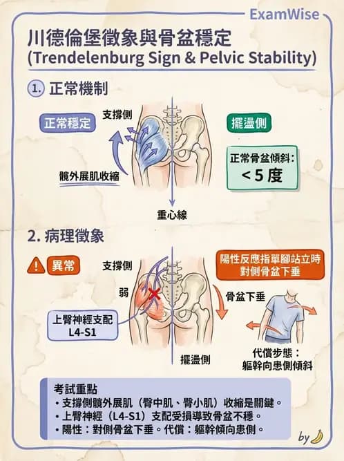 物治 - 異常步態與姿勢分析 - AI 圖文解析預覽