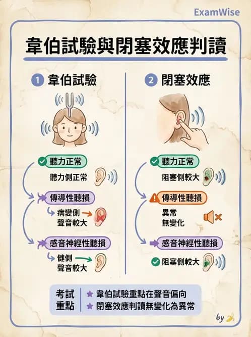 物治 - 神經系統生理 - AI 圖文解析預覽