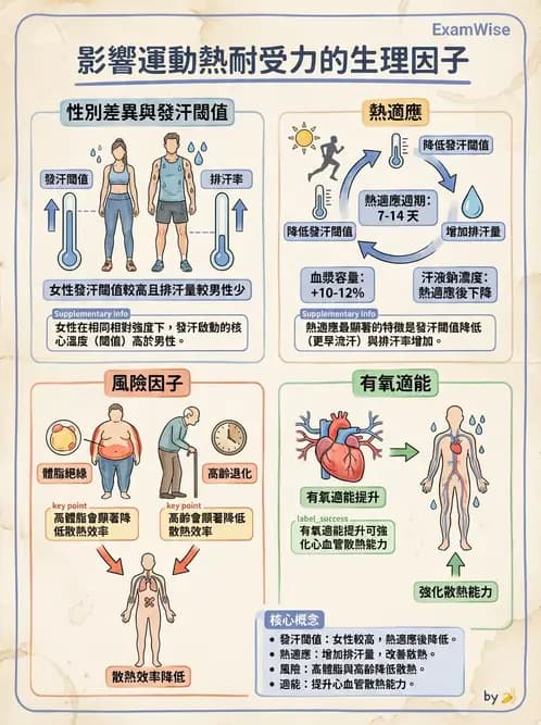 物治 - 運動與環境心肺生理 - AI 圖文解析預覽