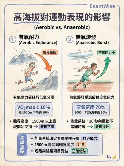 物治 - 運動與環境心肺生理 - AI 圖文解析預覽