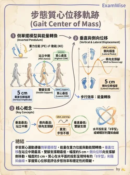物治 - 步態週期與生物力學 - AI 圖文解析預覽