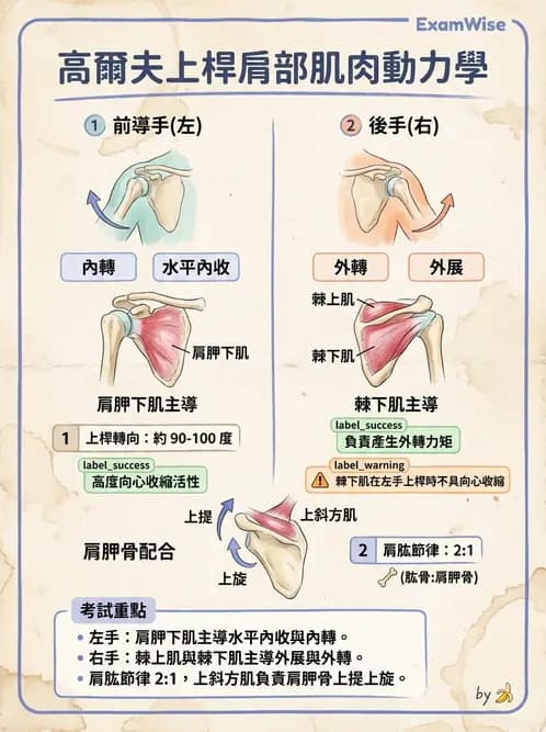 物治 - 競技運動與肌力訓練動作分析 - AI 圖文解析預覽