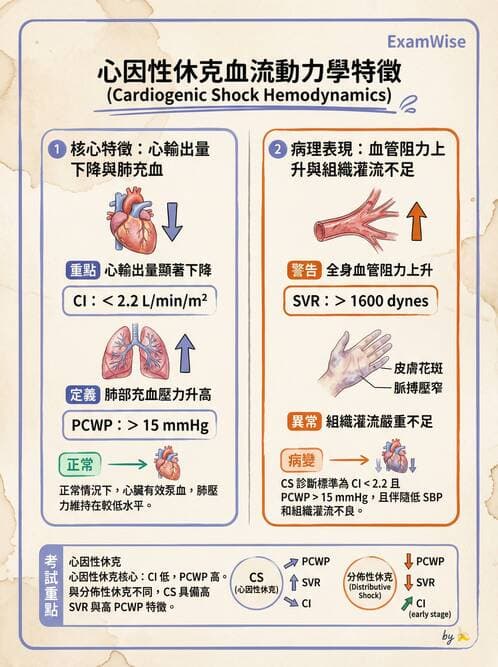 專師 - 高血壓與藥物治療 - AI 圖文解析預覽