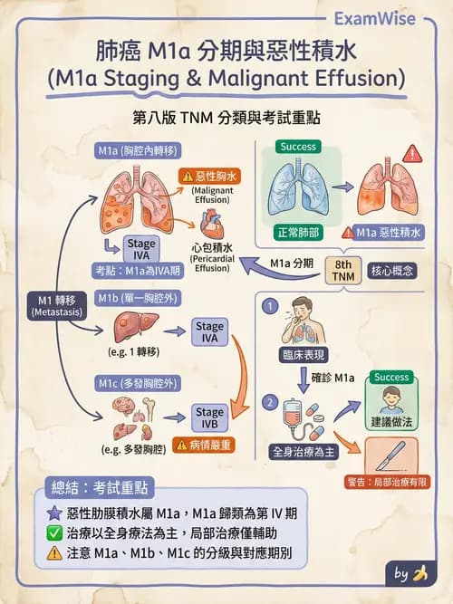 專師 - 胸腔外科 - AI 圖文解析預覽