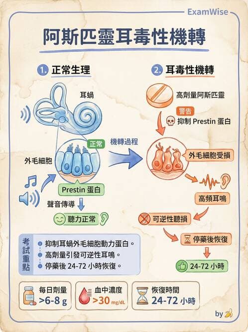 專師 - 術後疼痛控制 - AI 圖文解析預覽