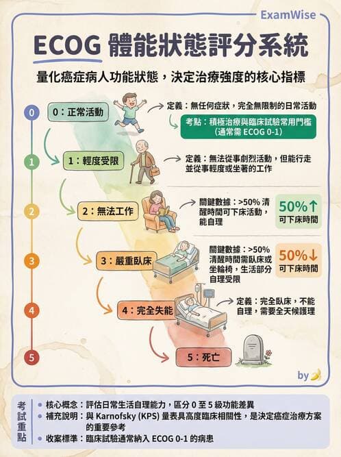專師 - 腫瘤診斷與分期 - AI 圖文解析預覽