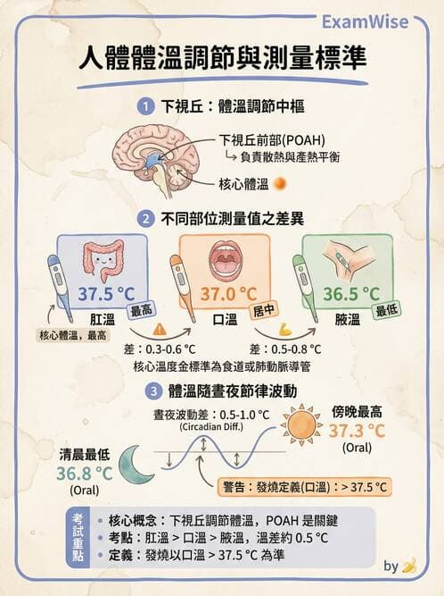 專師 - 健康促進與衛教理論 - AI 圖文解析預覽