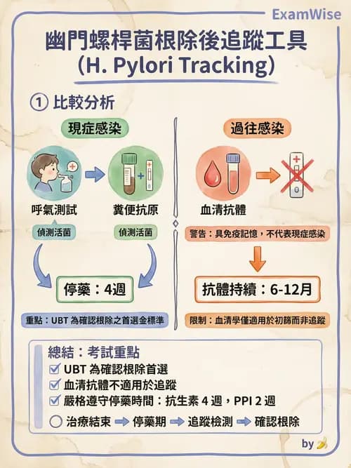 專師 - 上消化道 - AI 圖文解析預覽