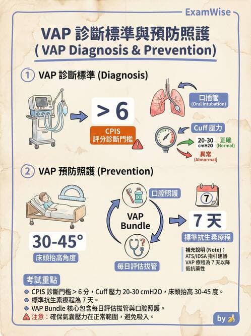 專師 - 肺炎與肺部感染 - AI 圖文解析預覽