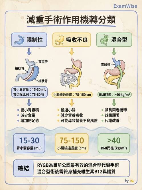 專師 - 上消化道與減重外科 - AI 圖文解析預覽