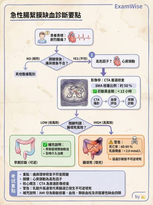 專師 - 腹部評估與急腹症 - AI 圖文解析預覽