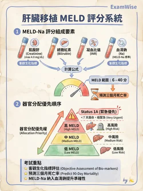 專師 - 肝腫瘤與肝臟手術 - AI 圖文解析預覽