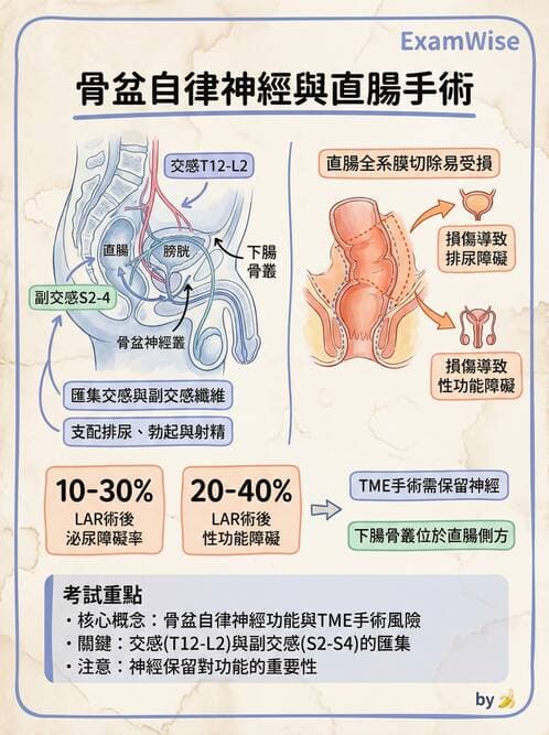 專師 - 大腸直腸癌與息肉 - AI 圖文解析預覽