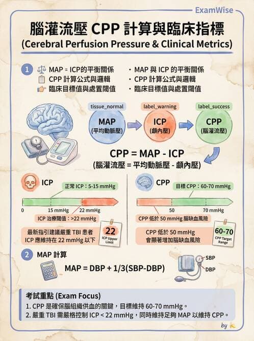 專師 - 頭部外傷與顱內壓 - AI 圖文解析預覽