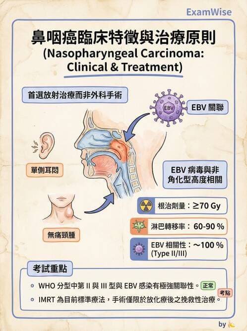 專師 - 頭頸腫瘤與甲狀腺 - AI 圖文解析預覽