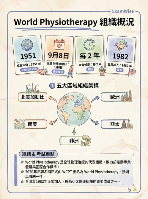 物治 - 專業組織與服務模式 - AI 圖文解析預覽