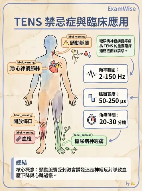 物治 - 經皮電刺激與電療基礎 - AI 圖文解析預覽