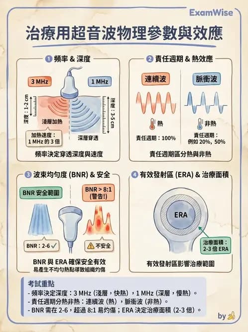 物治 - 超音波 - AI 圖文解析預覽