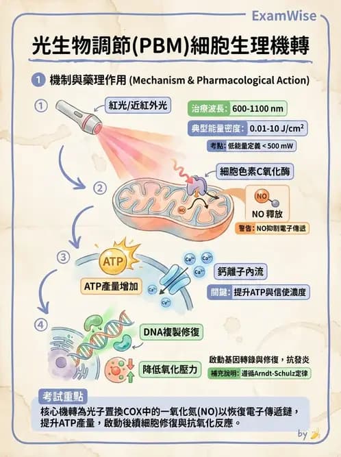 物治 - 低能量雷射 - AI 圖文解析預覽