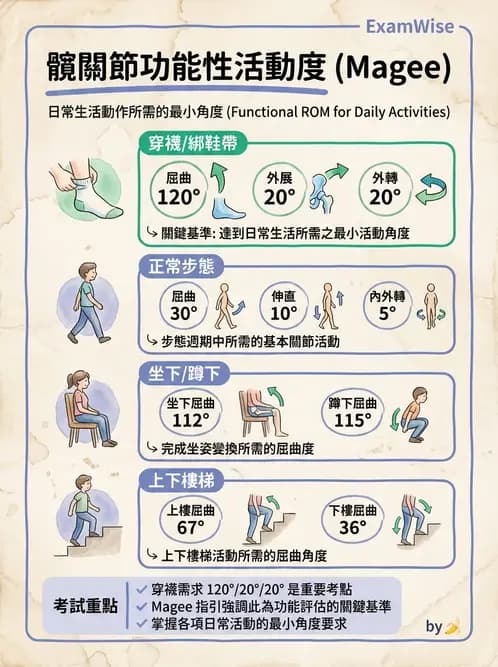 物治 - 下肢與脊椎關節活動度 - AI 圖文解析預覽