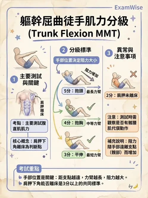物治 - MMT通則、頭頸與軀幹 - AI 圖文解析預覽