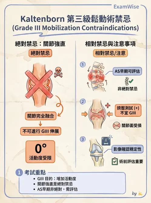 物治 - 鬆動術分級理論 - AI 圖文解析預覽