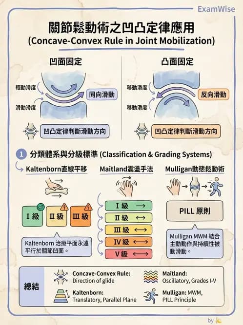 物治 - 鬆動術基礎概念與原則 - AI 圖文解析預覽