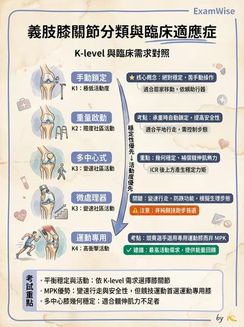 物治 - 義肢 - AI 圖文解析預覽