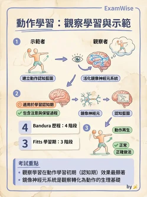 物治 - 動作學習 - AI 圖文解析預覽