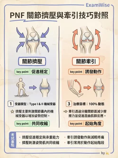 物治 - 神經治療學派技術 - AI 圖文解析預覽