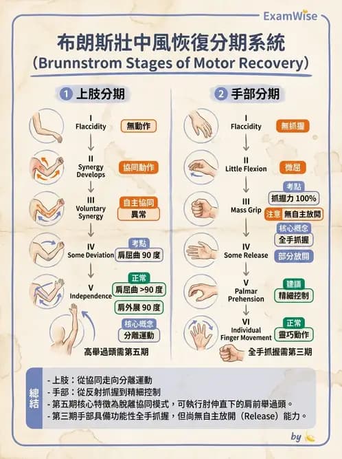 物治 - 腦中風動作評估與分期 - AI 圖文解析預覽