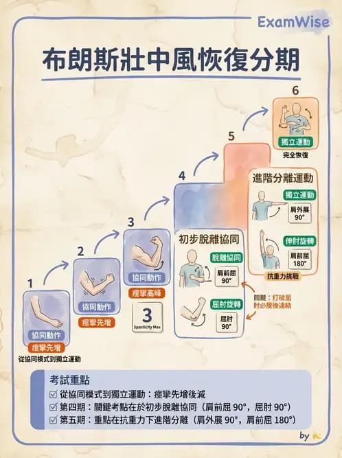 物治 - 腦中風動作評估與分期 - AI 圖文解析預覽