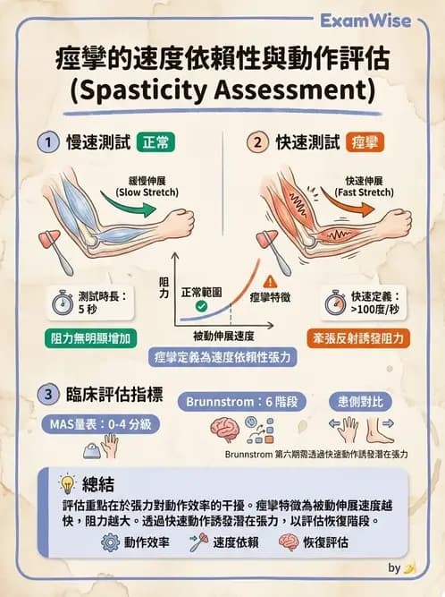 物治 - 腦中風動作評估與分期 - AI 圖文解析預覽