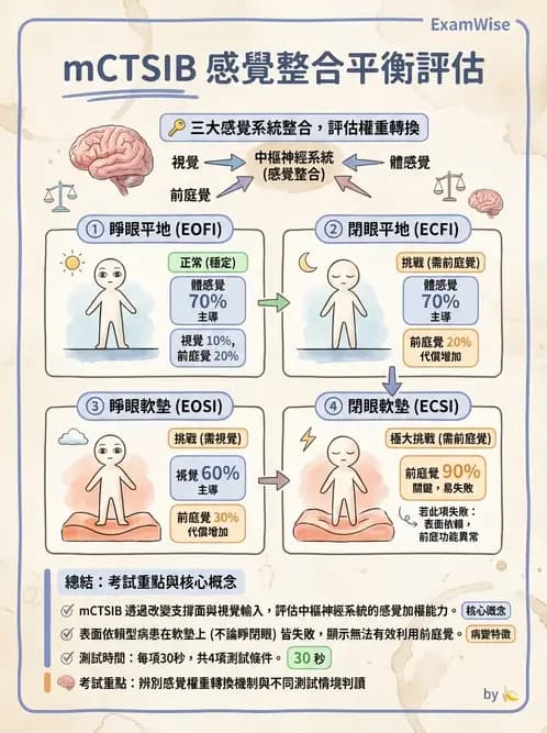 物治 - 腦中風姿勢控制平衡與轉位 - AI 圖文解析預覽