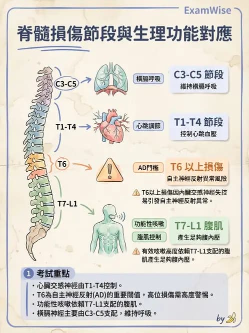 物治 - SCI併發症與呼吸管理 - AI 圖文解析預覽