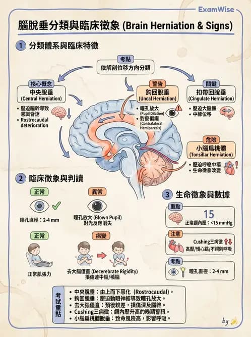 物治 - TBI病理評估與GCS - AI 圖文解析預覽