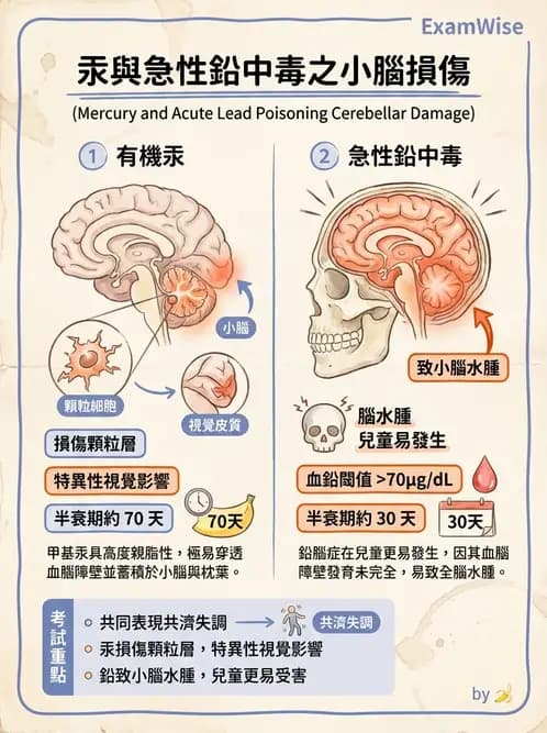 物治 - 運動神經元疾病與其他中樞疾病 - AI 圖文解析預覽